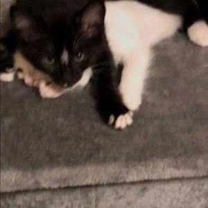 Meet your Posher, Nick